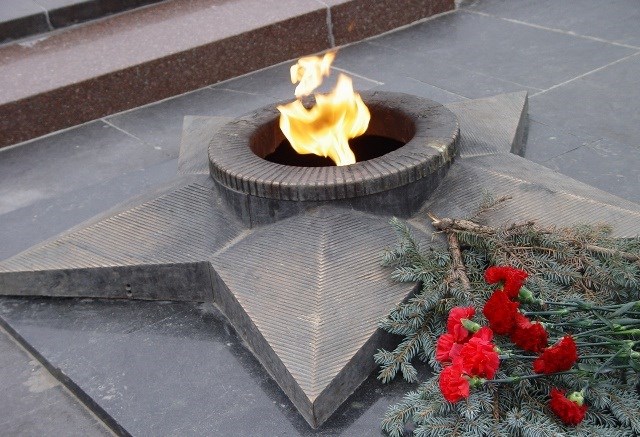 «Гвоздика на снегу»: в Волгограде проведут праздничную акцию