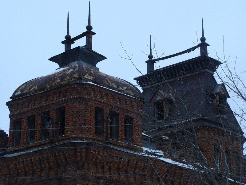 Крыша "замка". Фото Е. Сафроновой