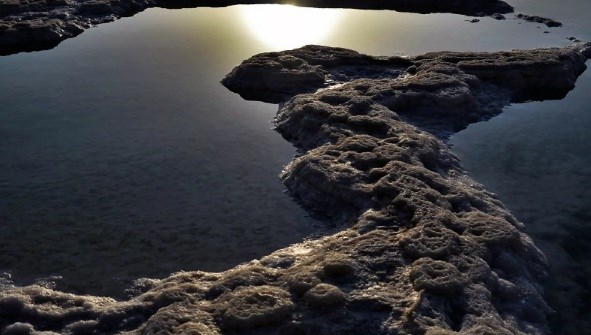 Мертвое море. Фото: РИА Новости