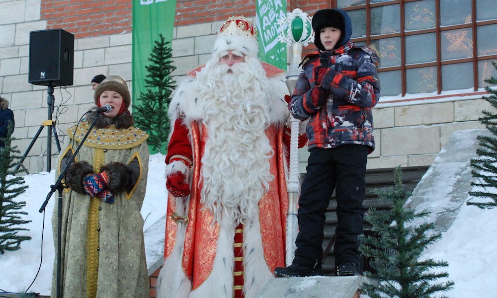 Все зимние сорта яблонь с фото
